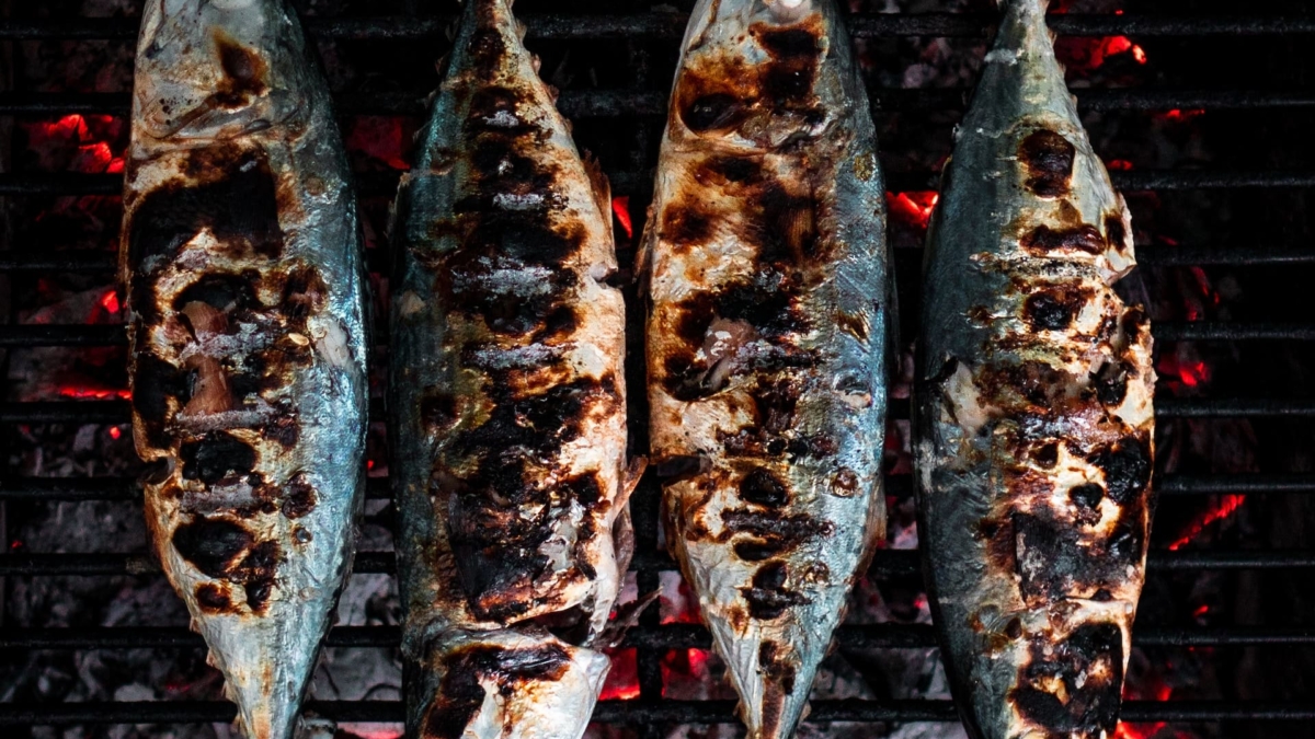 sardines clint bustrillos 3 M4NxDo89A unsplash 1 1