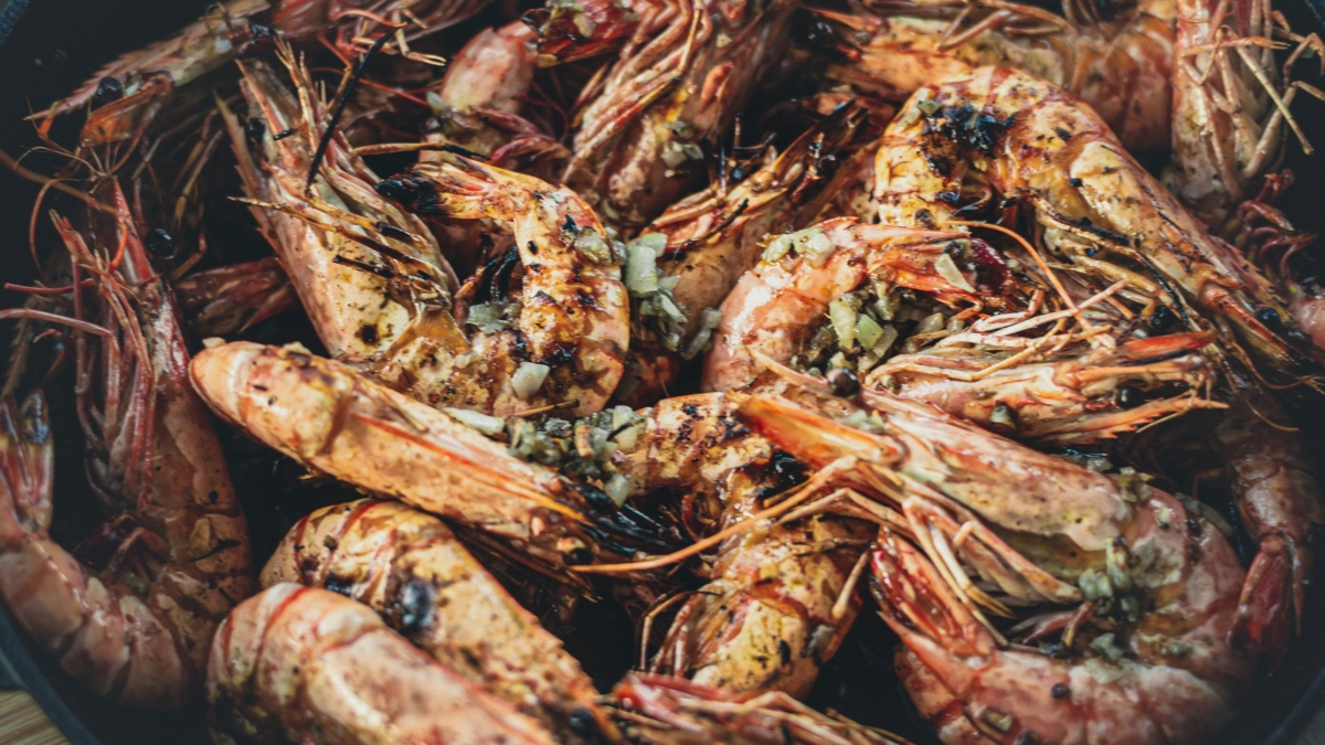 crevettes egor myznik 4Bj3k6f777w unsplash 1 1