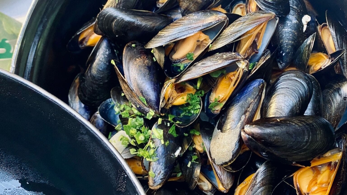 moules nikolay smeh godkmdG6M6o unsplash 1 1