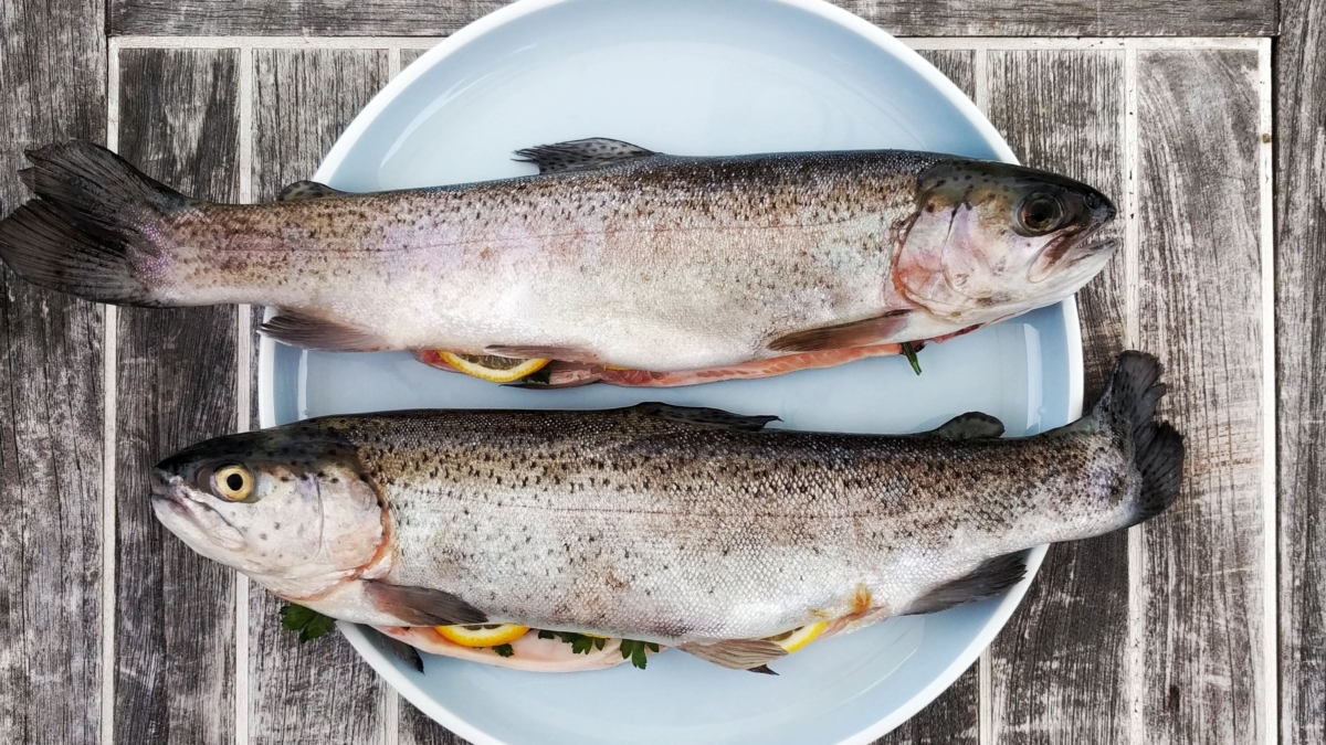 recette truites plancha