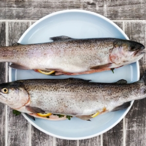 recette truites plancha
